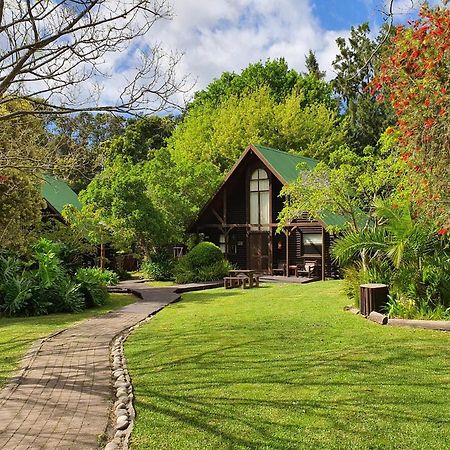 Tsitsikamma Lodge&Spa Stormsrivier Exteriör bild