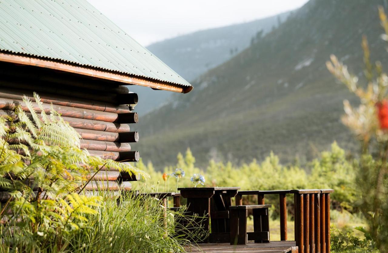 Tsitsikamma Lodge&Spa Stormsrivier Exteriör bild